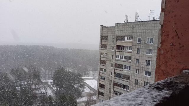 всем привет это в городе Чайковском. идёт снегопад да да и подписывайся на мой рутуб 🇷🇺🇷🇺🇷🇺👍