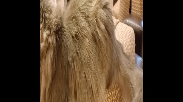 Филя занял своё место и ни кому его не отдаст