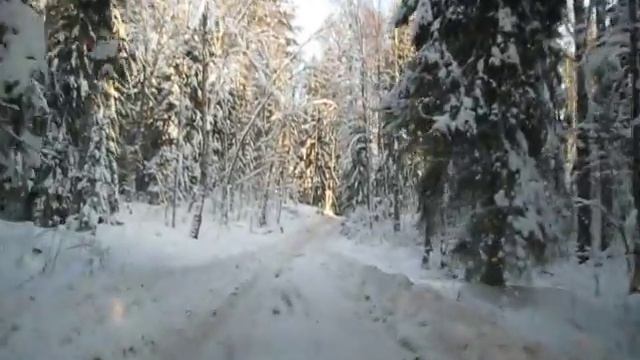 Зимник Коковичи - Часовенское