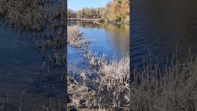 Греемся в Астраханской обл. И домой!