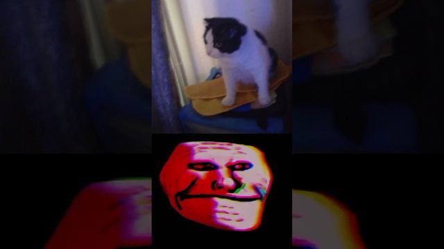 10000045157373737728282837283773737374737737383ш37373737ц727