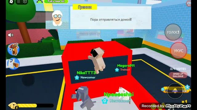 играем в история животных