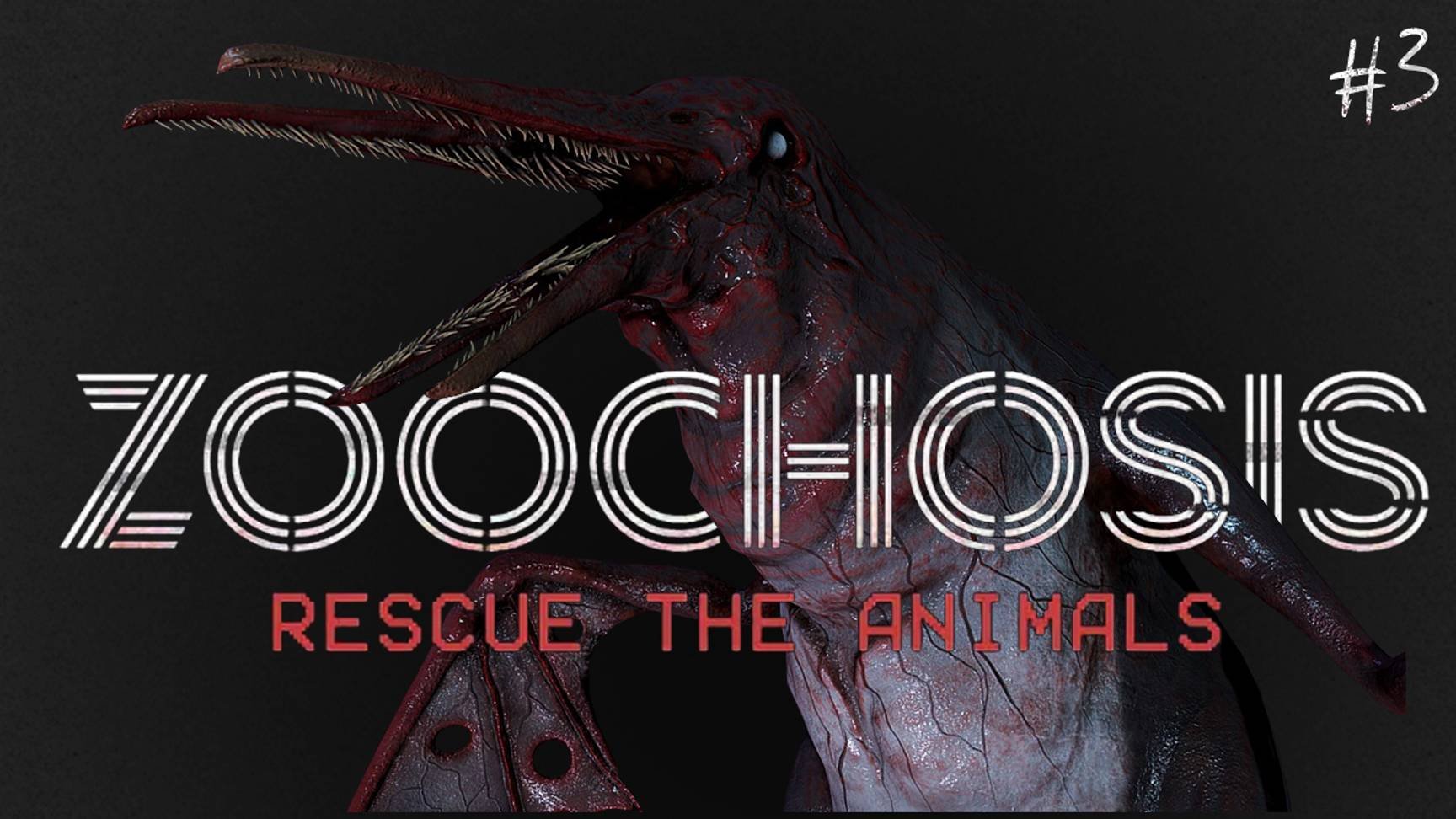 #3 ZOOCHOIS - Какие 