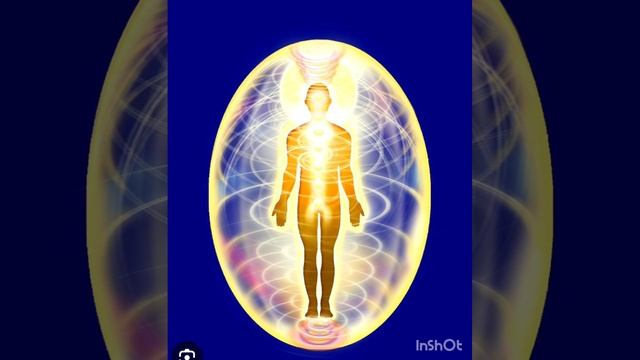 Тело человека.
Распознай его