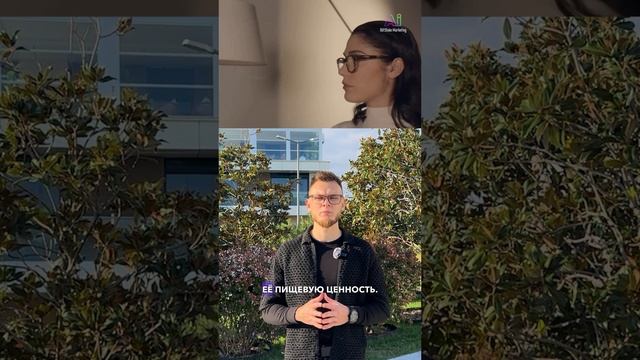 Искусственный Интеллект помогает Писателям