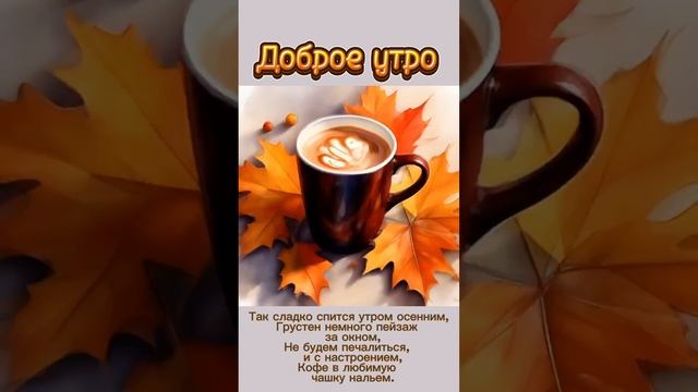 Доброе утро ☀️ 🍁03-11-2024