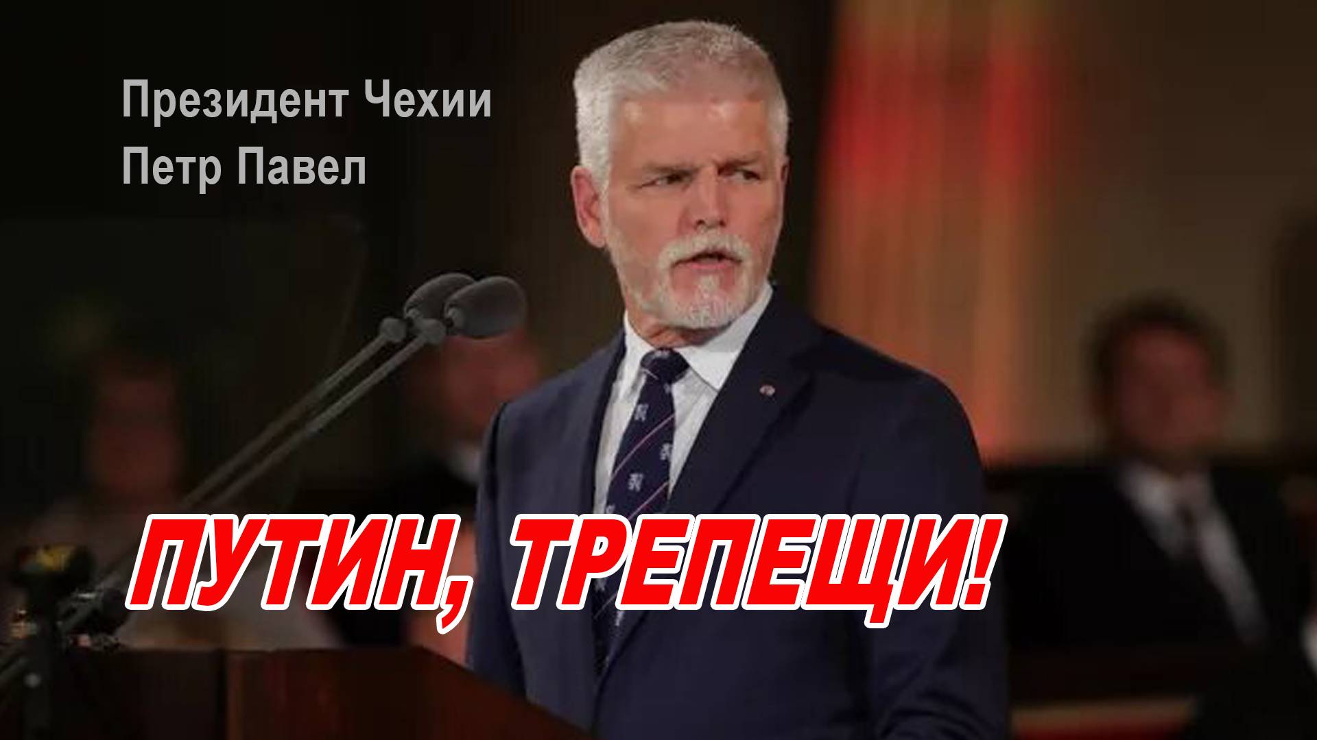 Президент Чехии Петр Павел разрешил 60 гражданам отправиться на Украину воевать