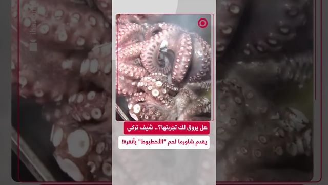 شيف تركي يقدم شاورما من لحم "الأخطبوط" في مطعم بالعاصمة التركية أنقرة