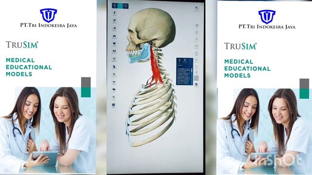 PMPH 3D Clinical Anatomy (TSM-0008)