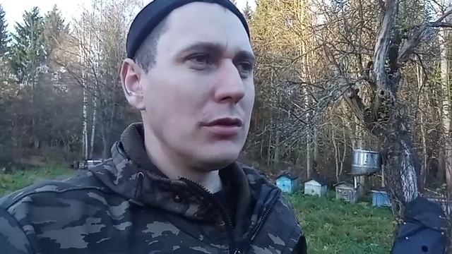 Итоги роеловного сезона