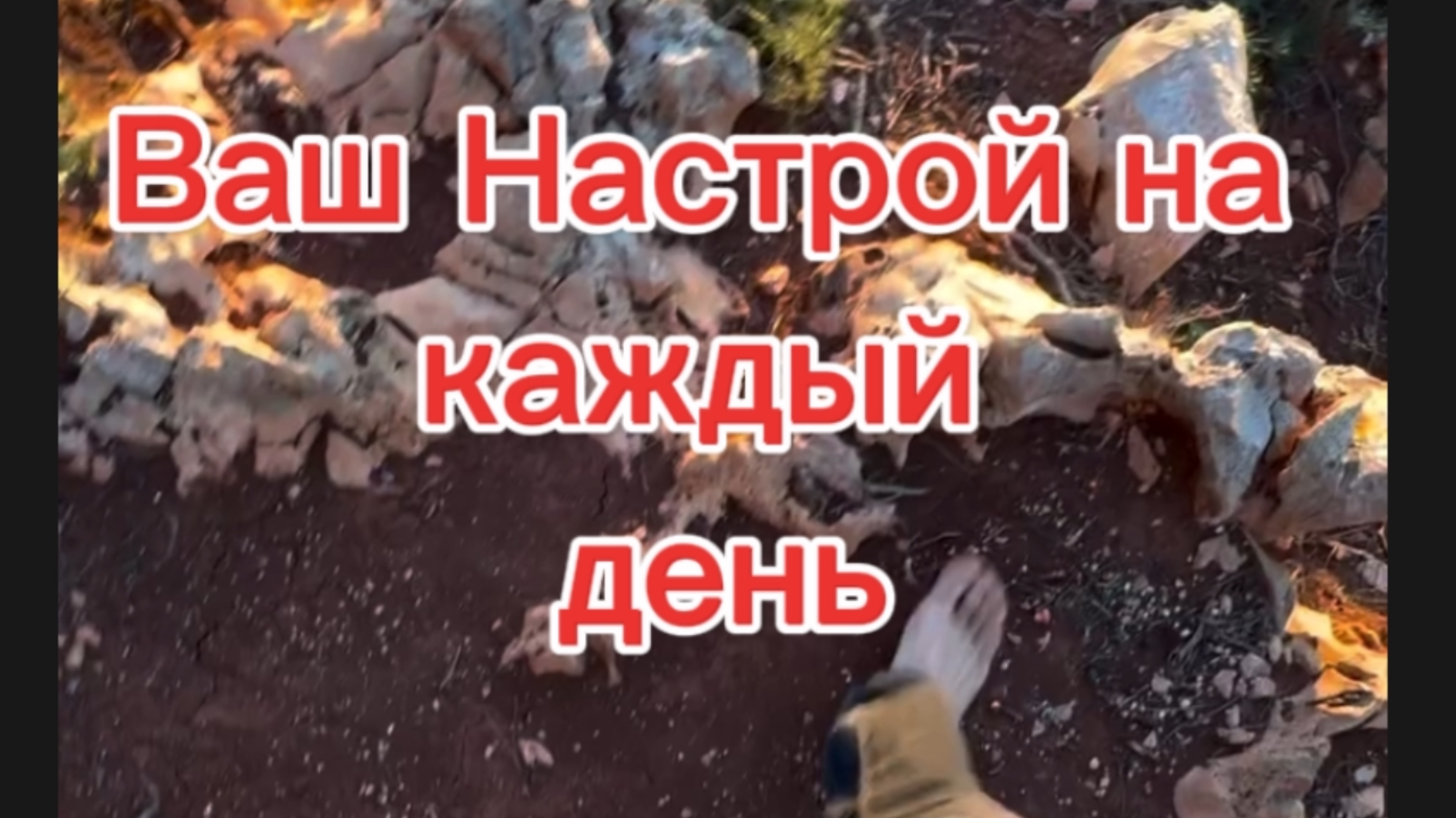 Настрой поднятия либидо к жизни. Прими мотивацию.