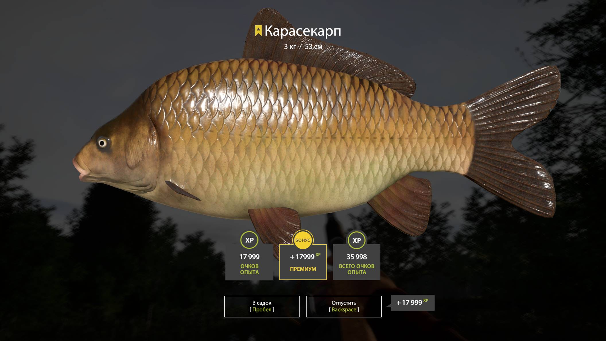 РР4 МЕДНОЕ НА ПРЯНОСТИ В НОРМ ПОГОДУ