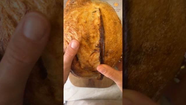 Корзина хлеба за 30 дней 🍞