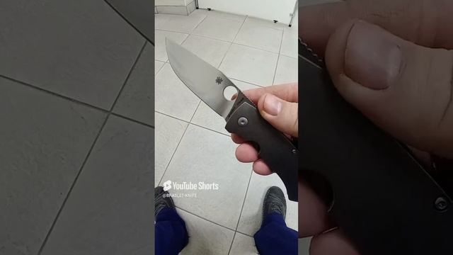 Spyderco  SLYSZ BOWIE