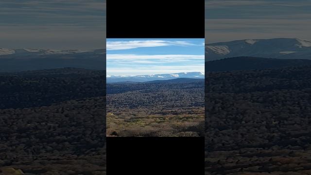 20241102_142607.mp4