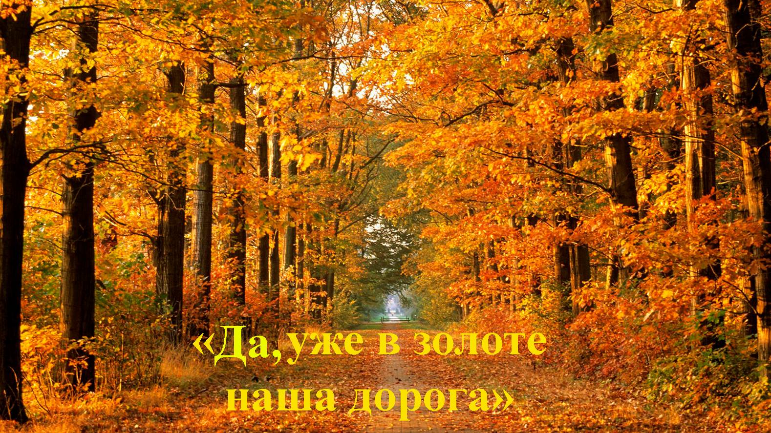 "ДА, УЖЕ В ЗОЛОТЕ НАША ДОРОГА!" - свои осенние зарисовки читает Анатолий Пережогин