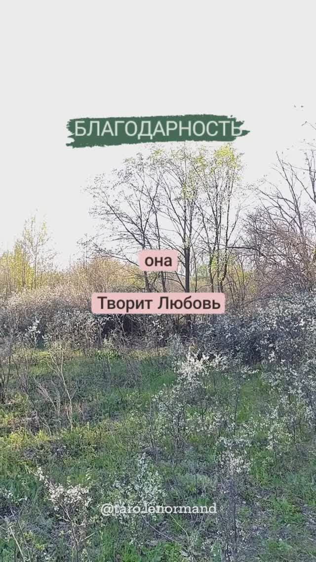 Благодарность 🙏🌸
#благодарность #любовь #сила
t.me/tarot_healing