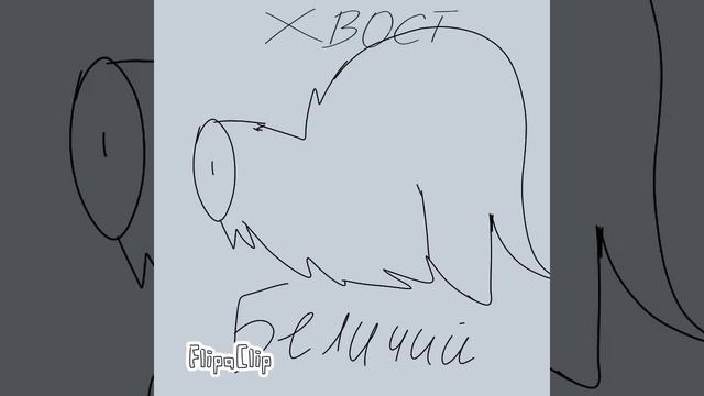создайте своего котика 🤩