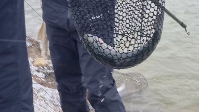 1000069403.mp4 сёмкина 2 в комаровке