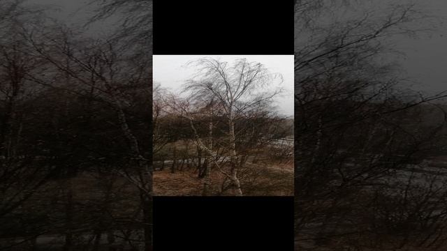 VID_20241102_105613.mp4