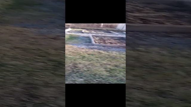 "Туса на даче"