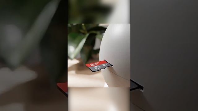 Высокопроизводительная карта памяти от фирмы SanDisk. Скорость передачи данных до 120-150 Мб/с