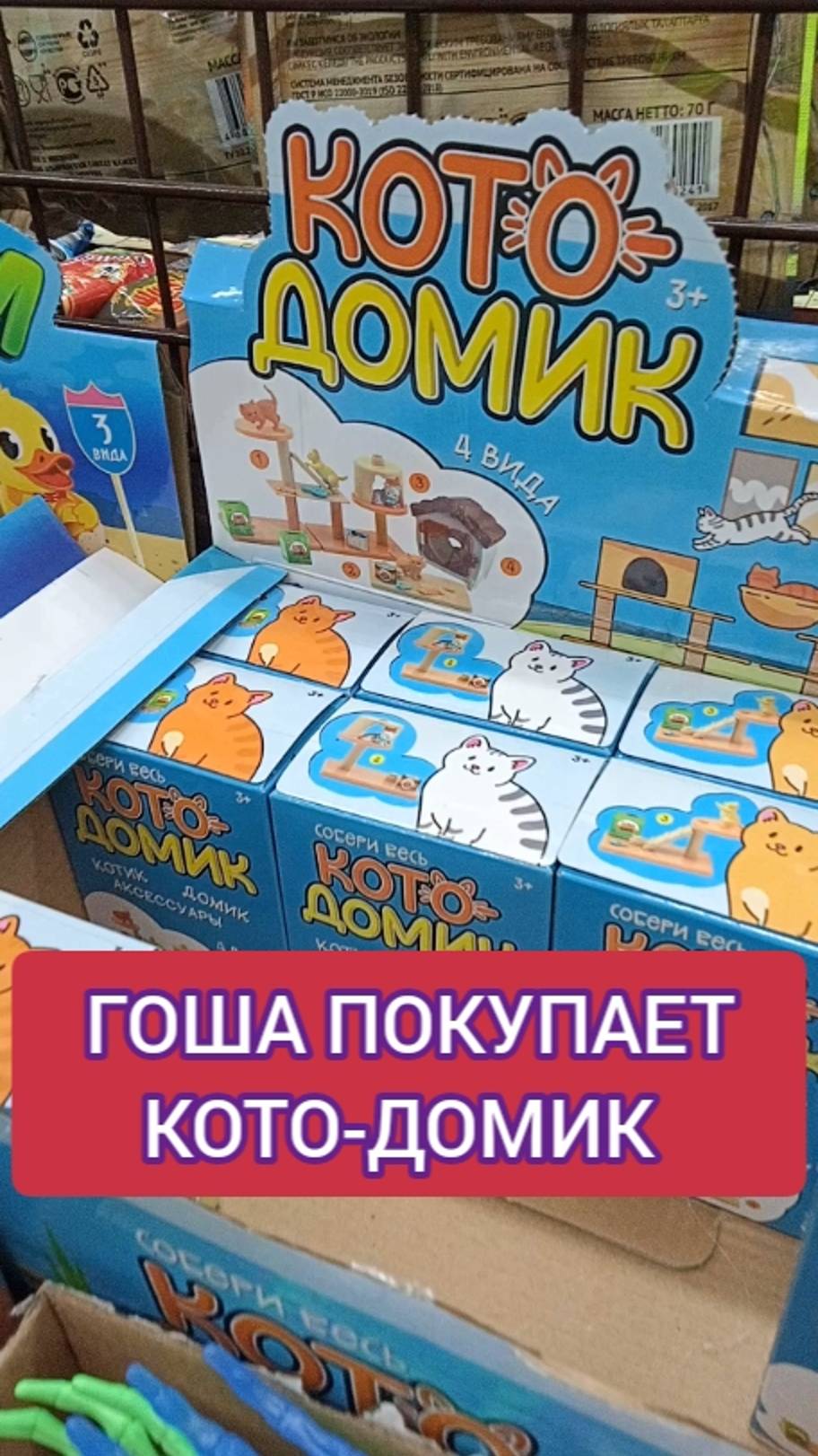 ГОША ПОКУПАЕТ КОТО-ДОМИК