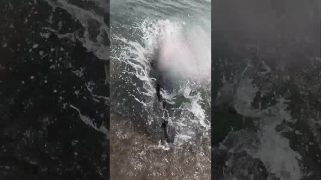 The dad of the year - snorkeling version - Happy Friday! :)