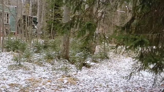 "Серый Кот1" снова на заброшке!!!