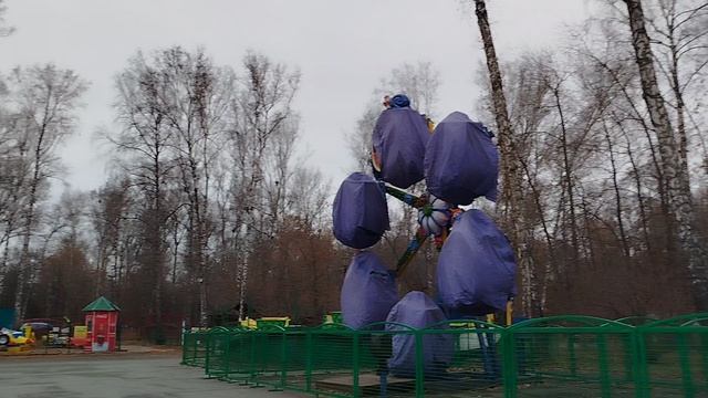 видео про берёзовую рощу