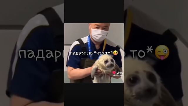 1000036619.mp4