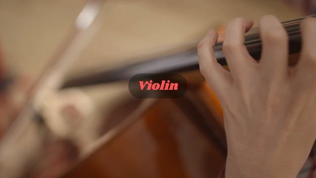 Beautiful sounds of the violin