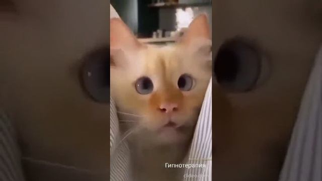 Медитация