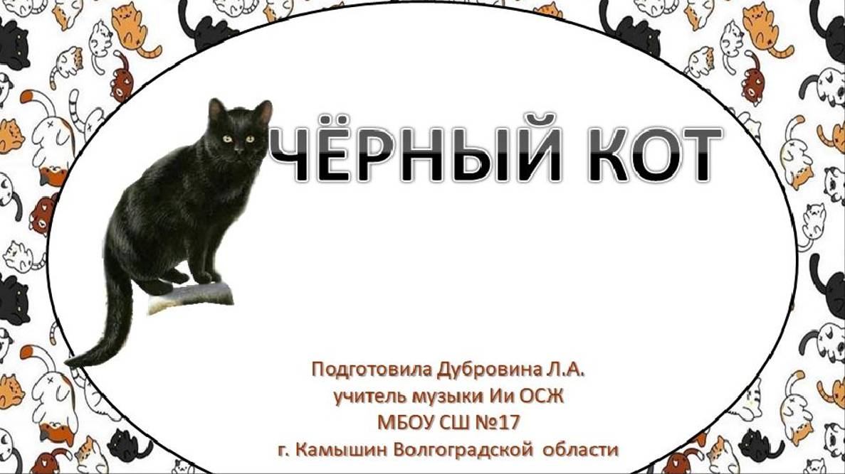 Чёрный кот