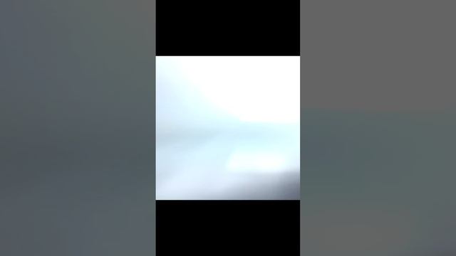 VID_20241103_140659.mp4