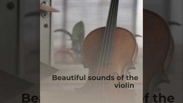 Beautiful sounds of the violin