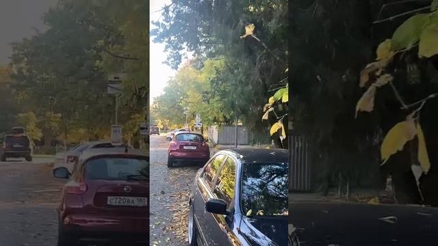 Промышленные Полы Краснодар mb93.ru