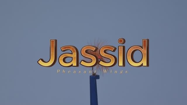 Мушка
Jassid 3D