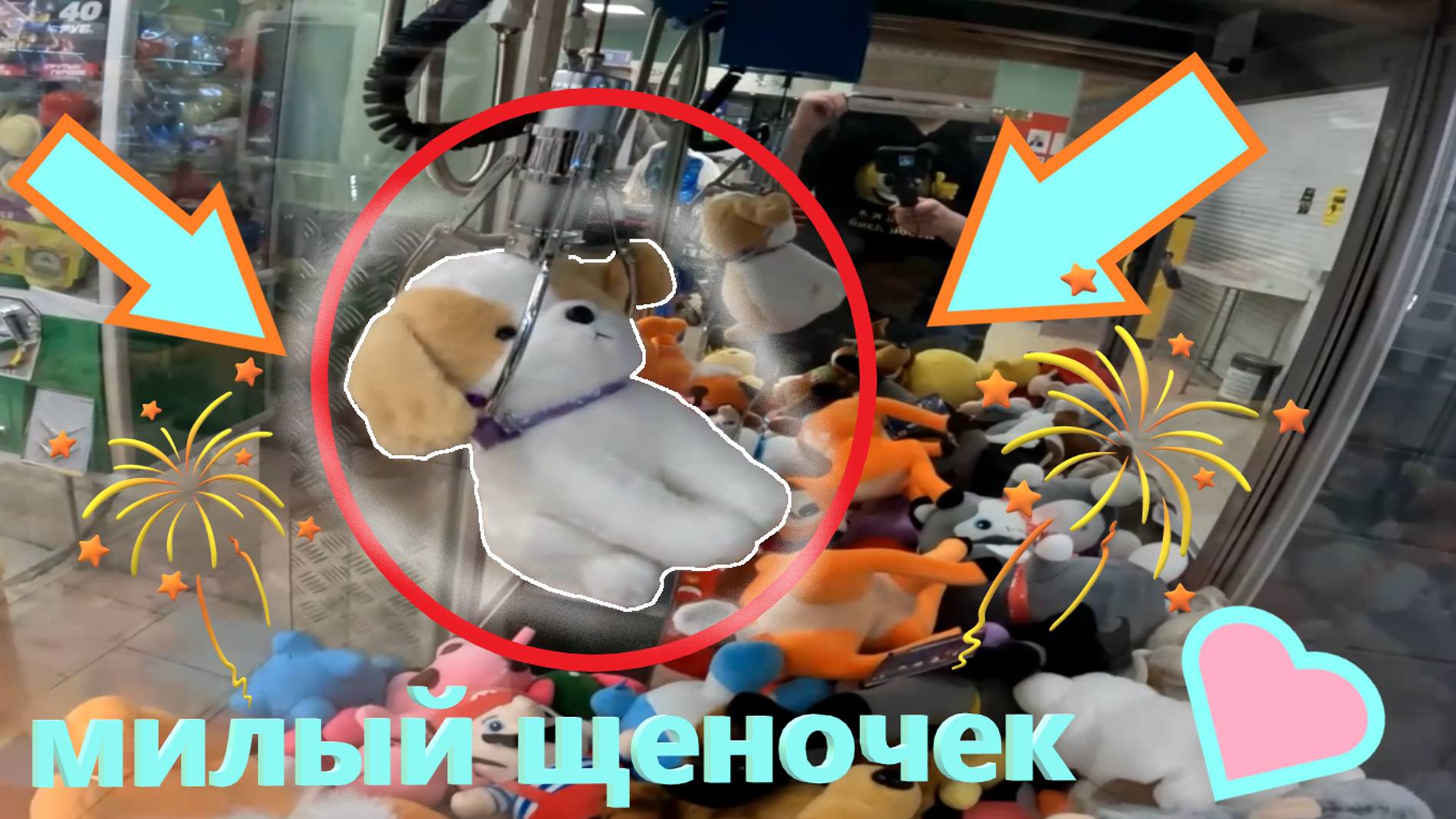 Пробую ВЫИГРАТЬ милого ЩЕНКА в ЧЕСТНОМ АВТОМАТЕ-ХВАТАЙКЕ жадного владельца на Первомайской!!! 🐕🎀💝