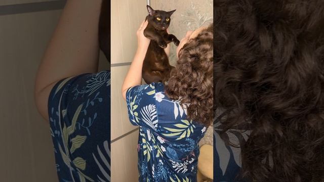 Когда ее целый день не было видно, а я соскучилась