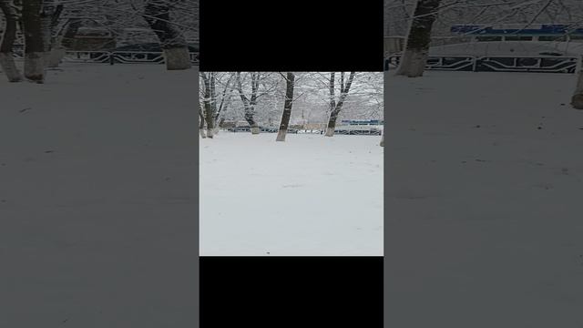 Вот и снежок второй.4 ноября