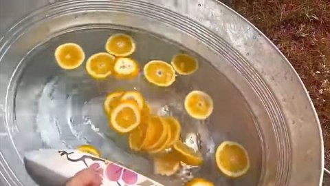 спокойная жизнь без тревоги влог Maria 22