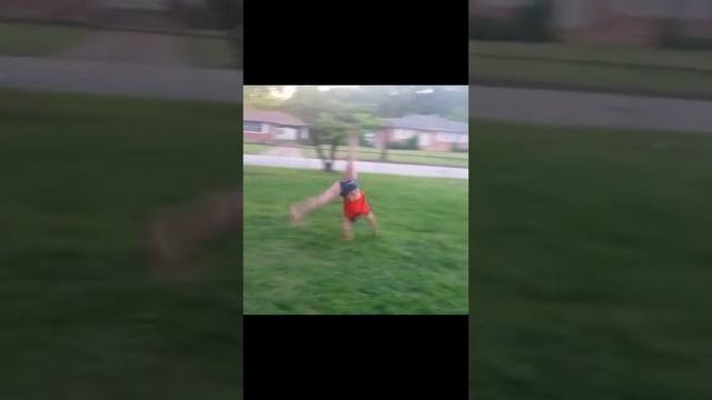 YOU LAUGH, YOU LOSE Ep152 ! #shorts #funnyvideo #viral #fail #memes #funny #animals