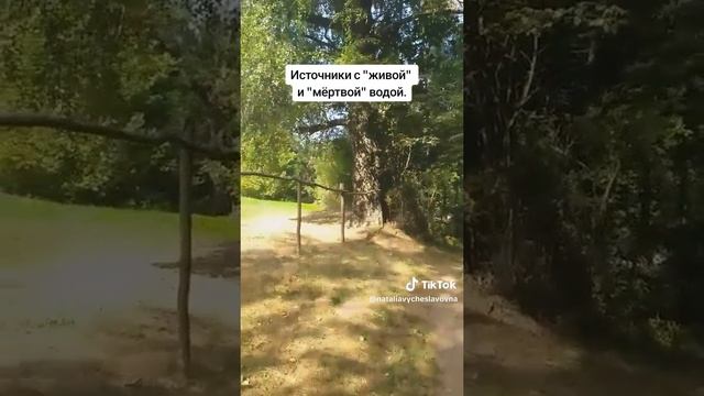 Источники с живой и мёртвой водой.