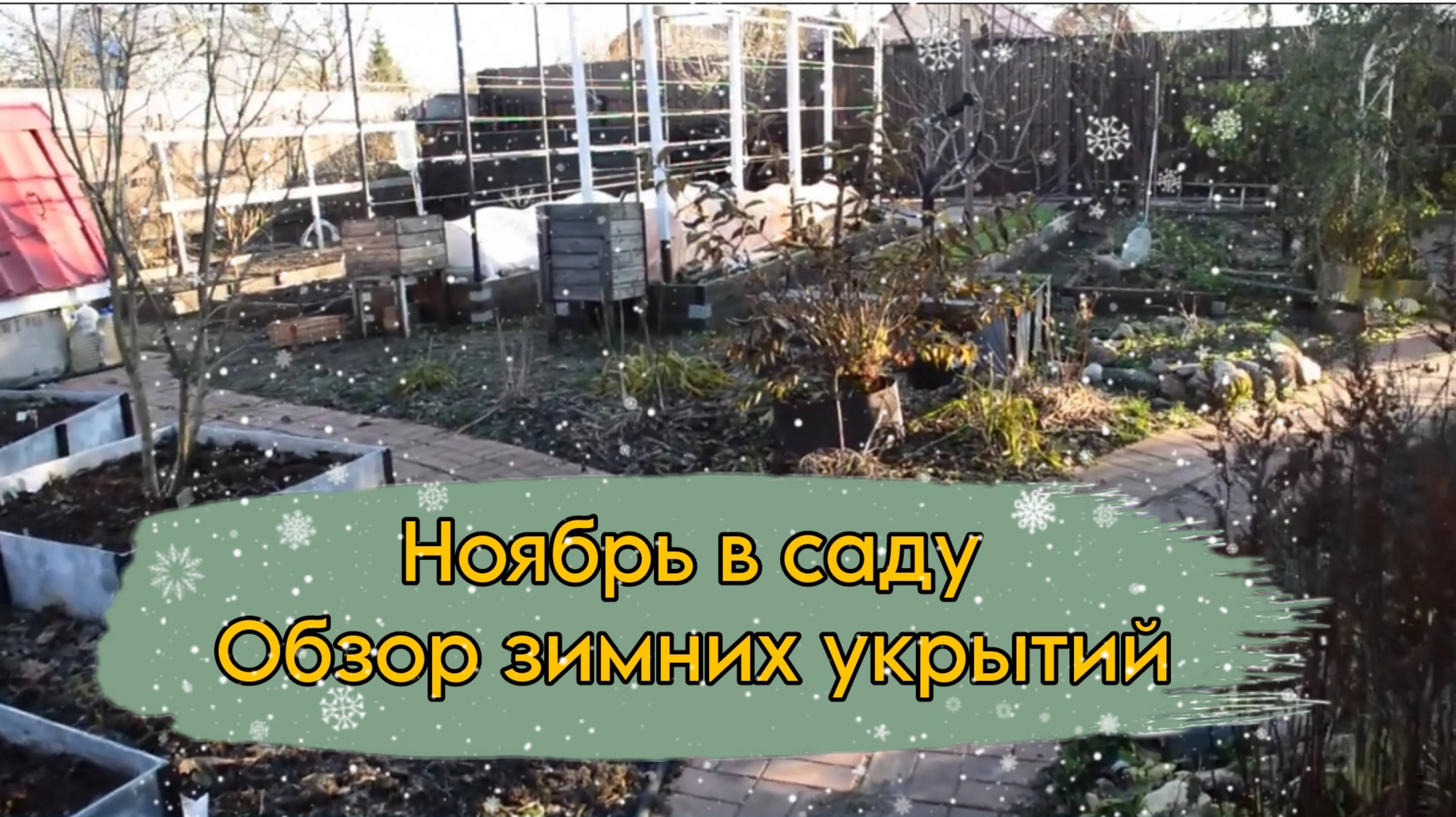 Сад в ноябре: обзор укрытий
