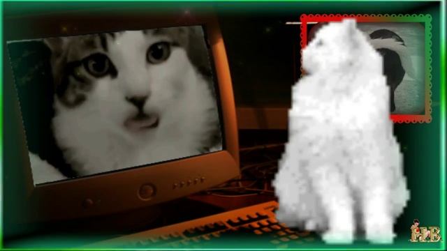 КОШКИН ДЕНЬ
