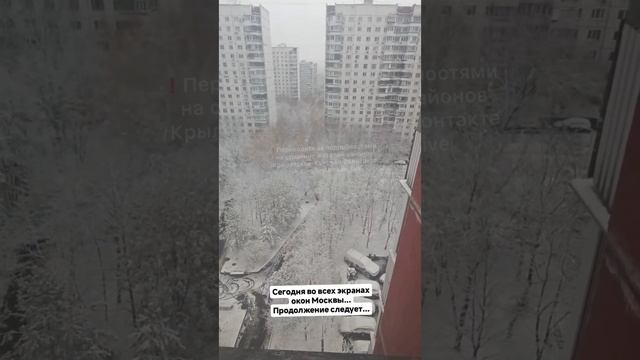 Доброе, снежное, единое