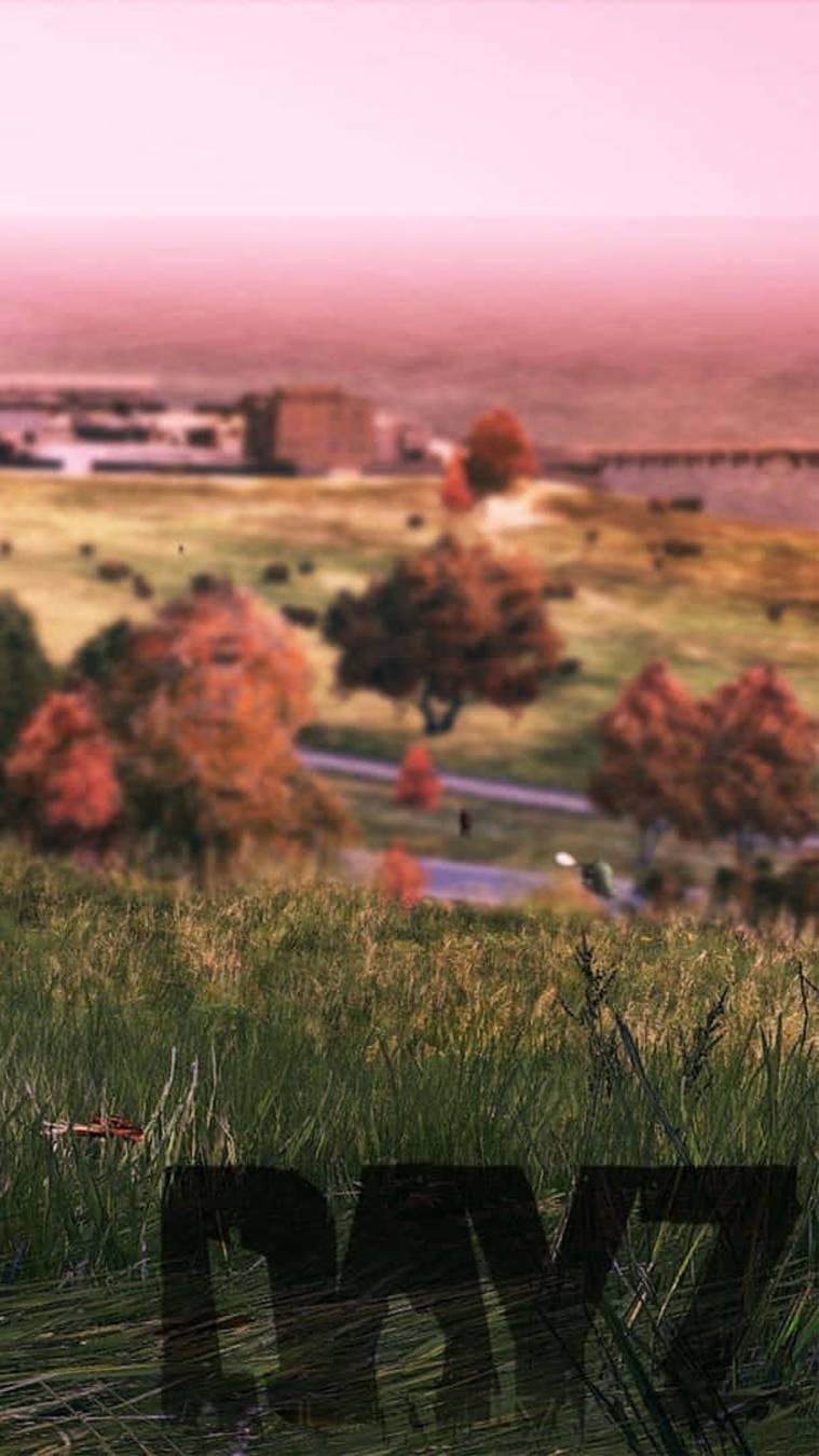 Dayz весёлая игра #dayz #игры #dayzприкол