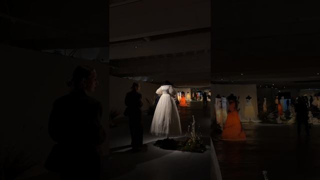 Shorts 121 - Lux Wedding Studio