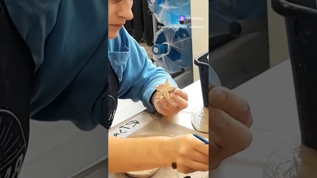 Гончарная В Питере